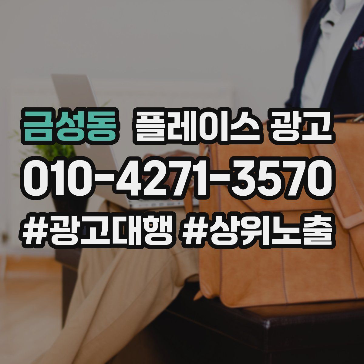 금성동 플레이스 광고