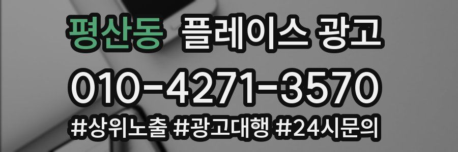 평산동 플레이스 광고