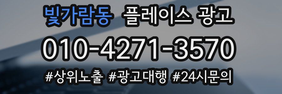 빛가람동 플레이스 광고