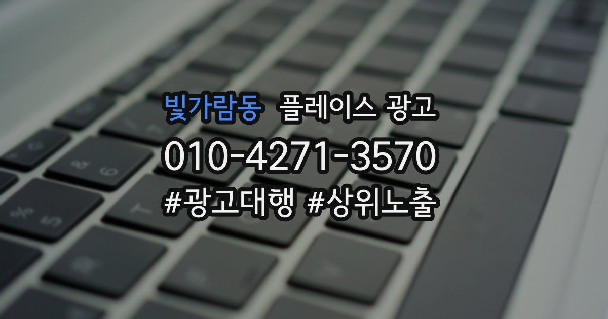 빛가람동 플레이스 광고