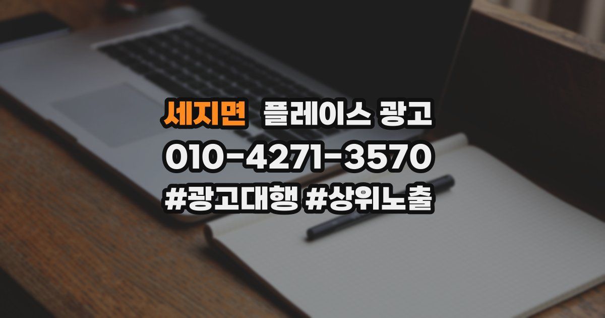 세지면 플레이스 광고