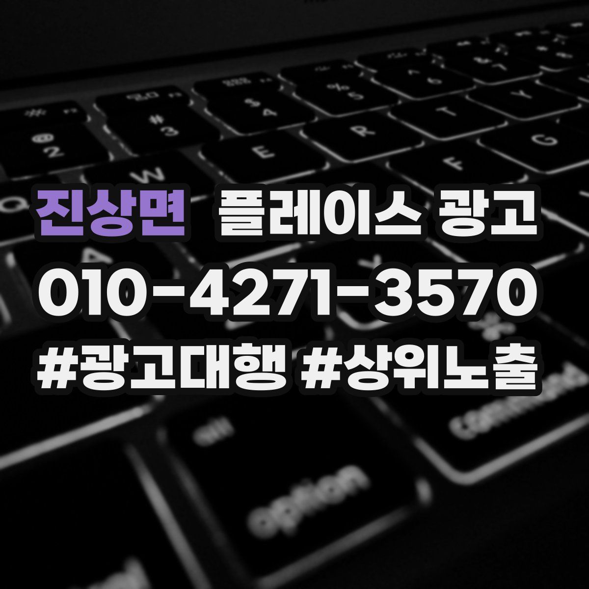 진상면 플레이스 광고