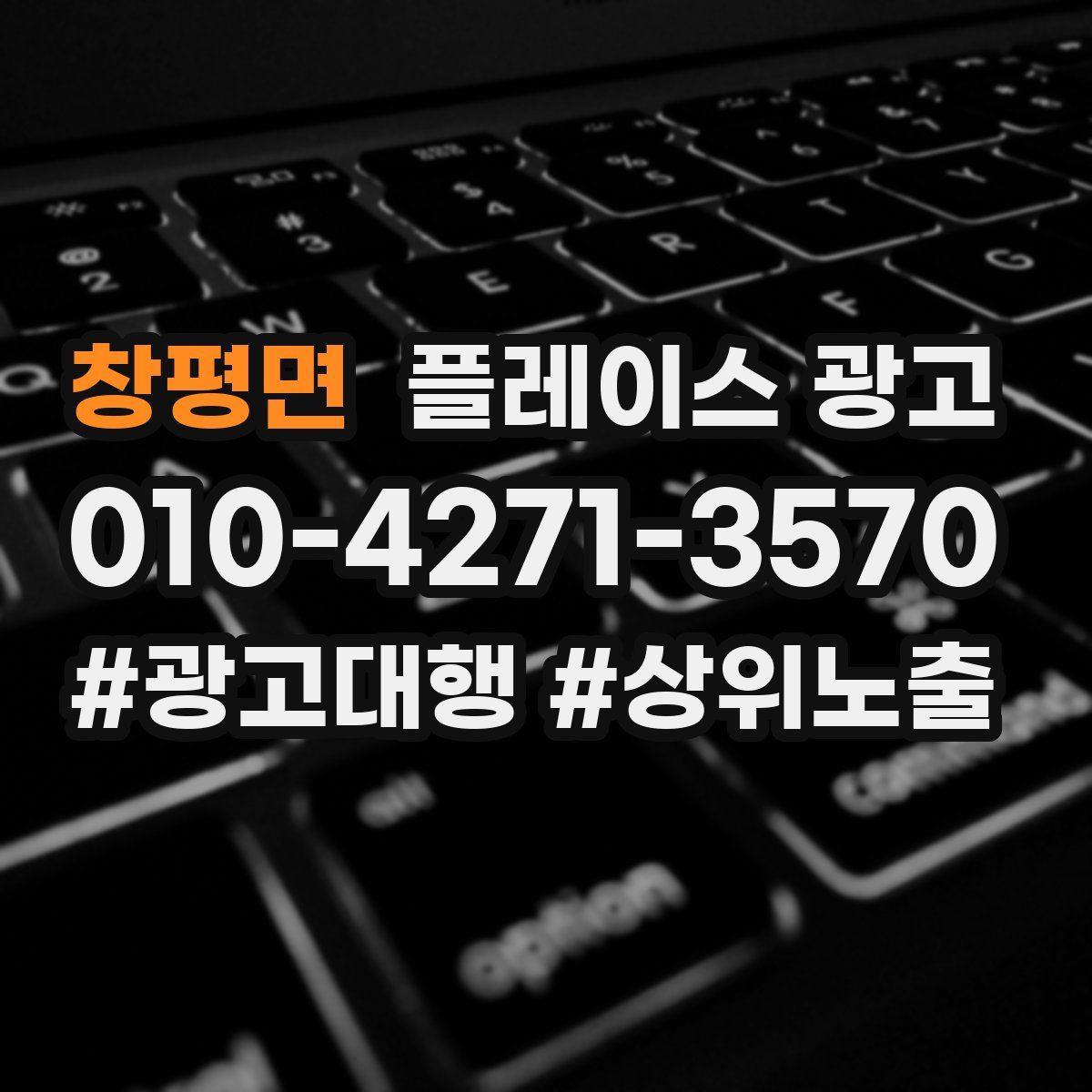 창평면 플레이스 광고