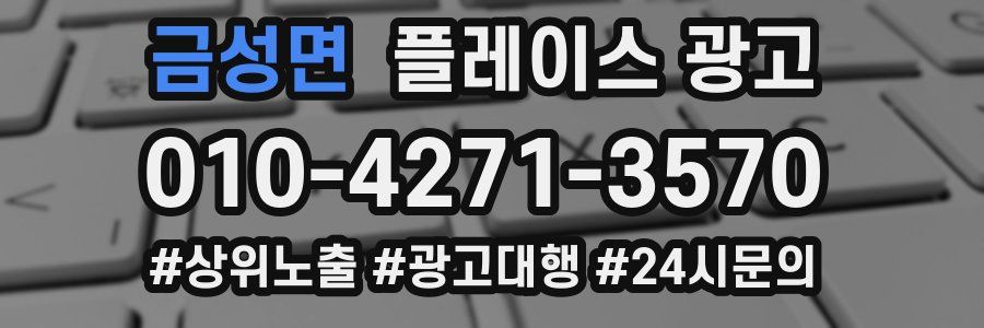 금성면 플레이스 광고
