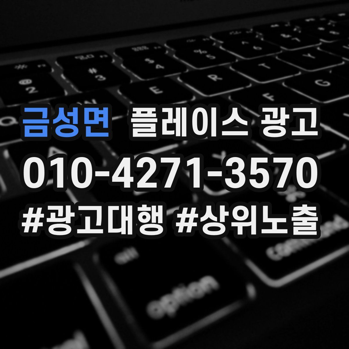 금성면 플레이스 광고