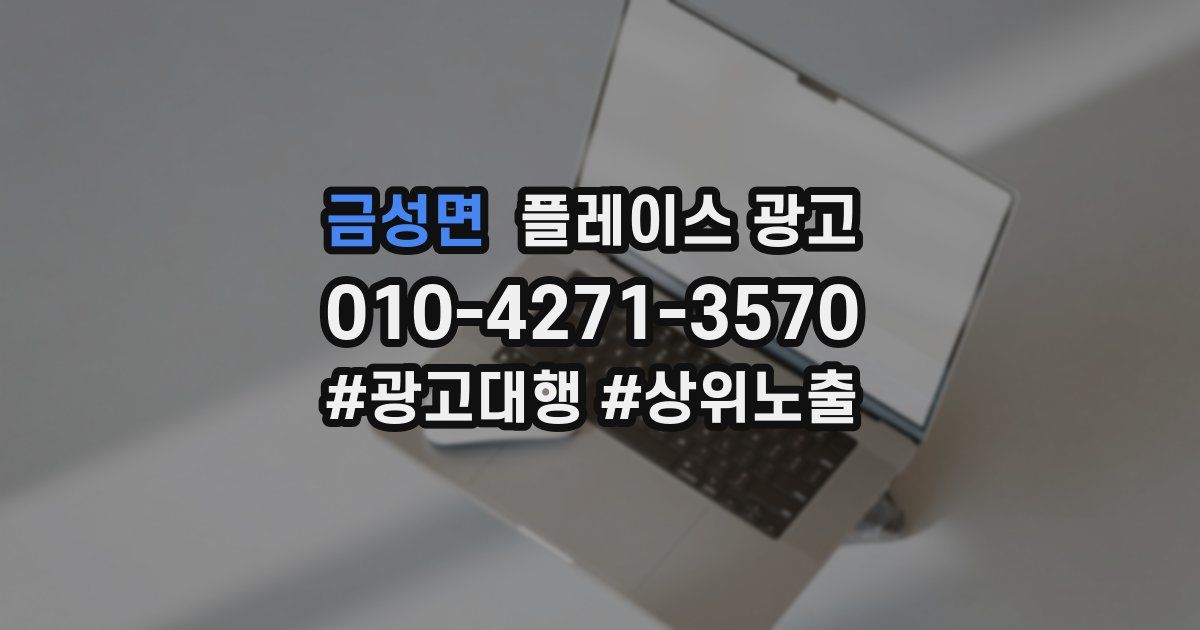 금성면 플레이스 광고