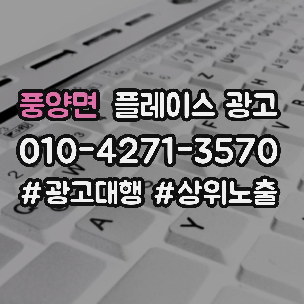 풍양면 플레이스 광고