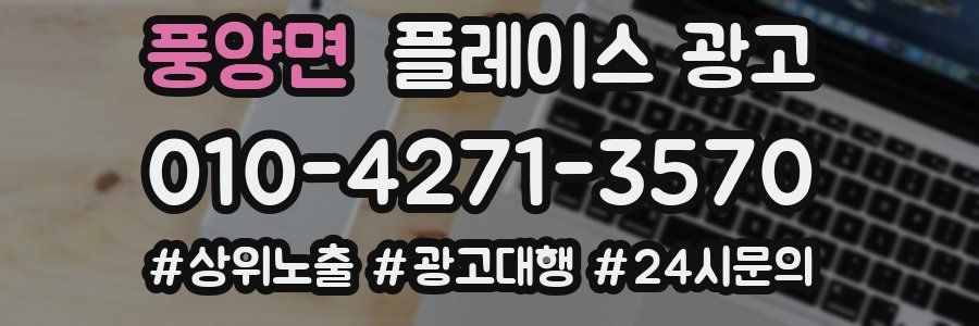 풍양면 플레이스 광고
