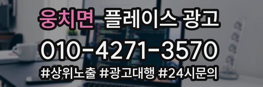 웅치면 플레이스 광고