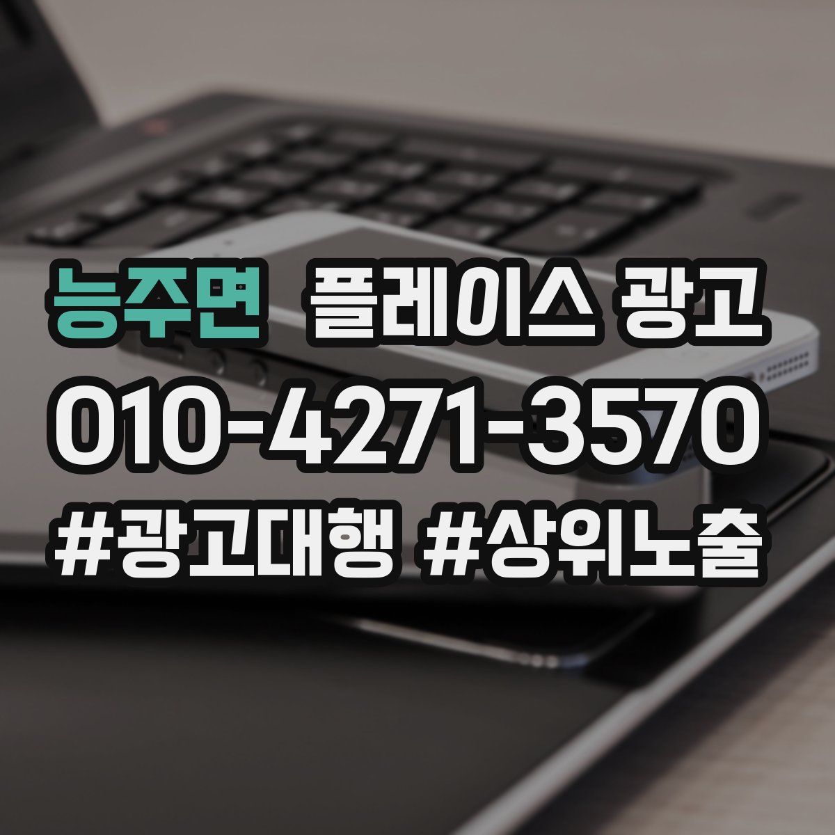 능주면 플레이스 광고