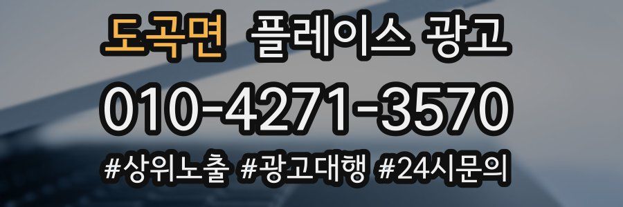 도곡면 플레이스 광고