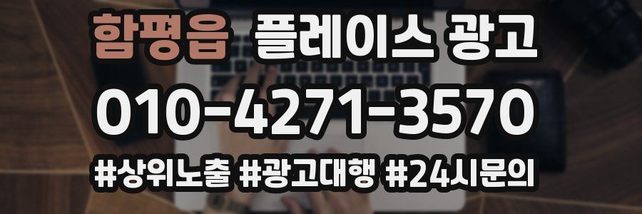 함평읍 플레이스 광고