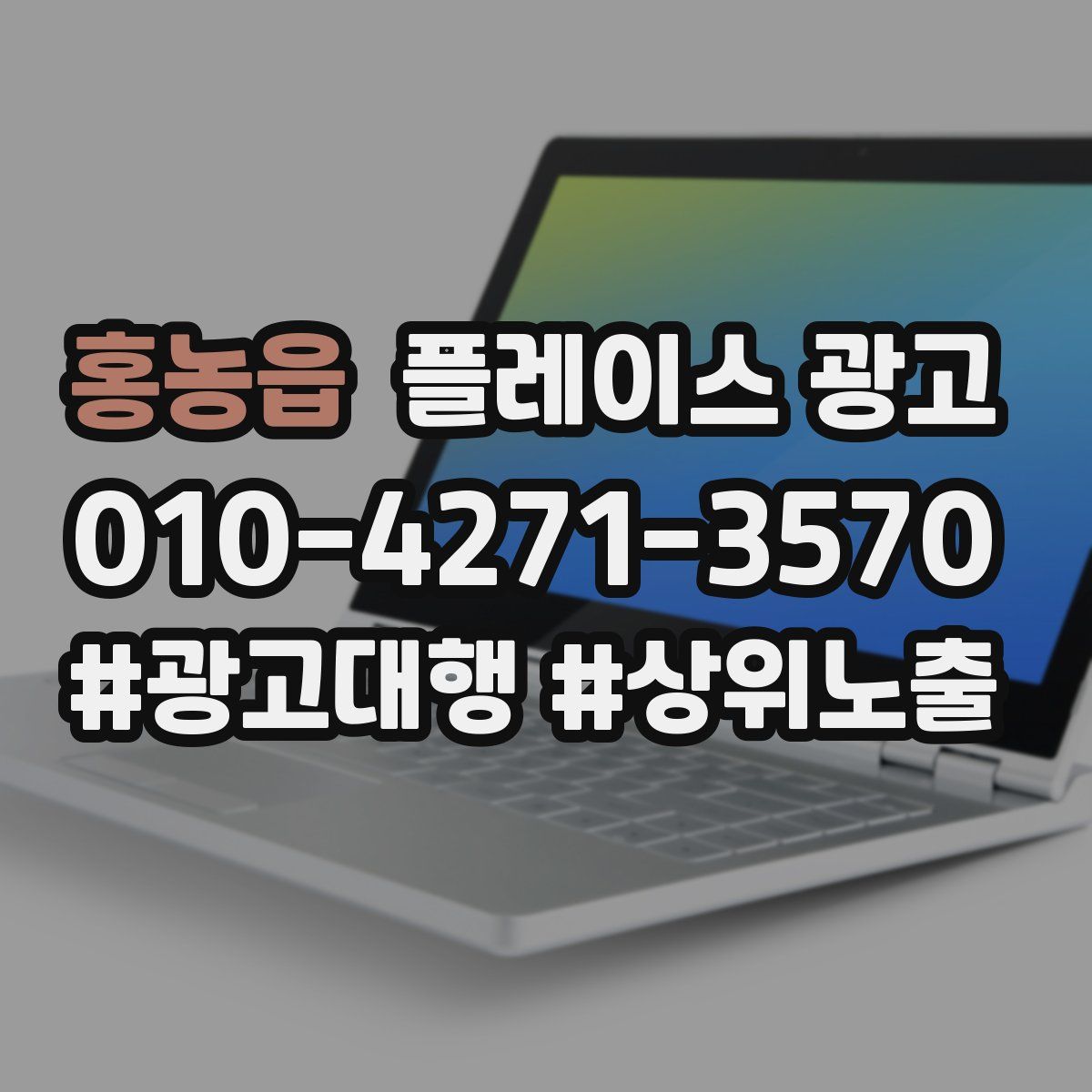 홍농읍 플레이스 광고