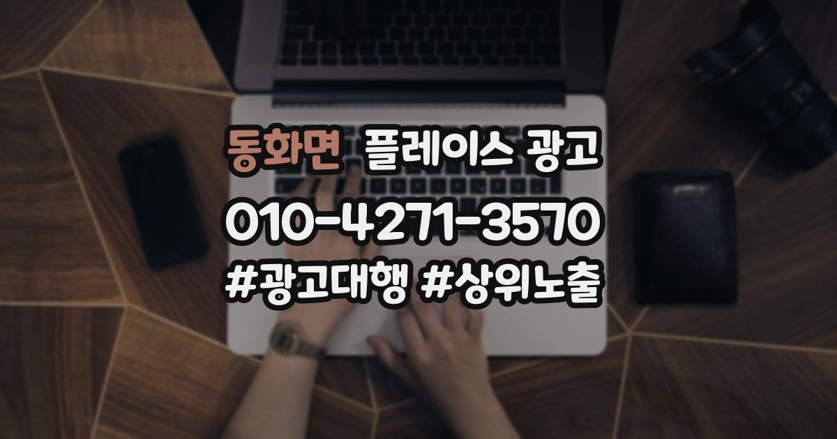 동화면 플레이스 광고