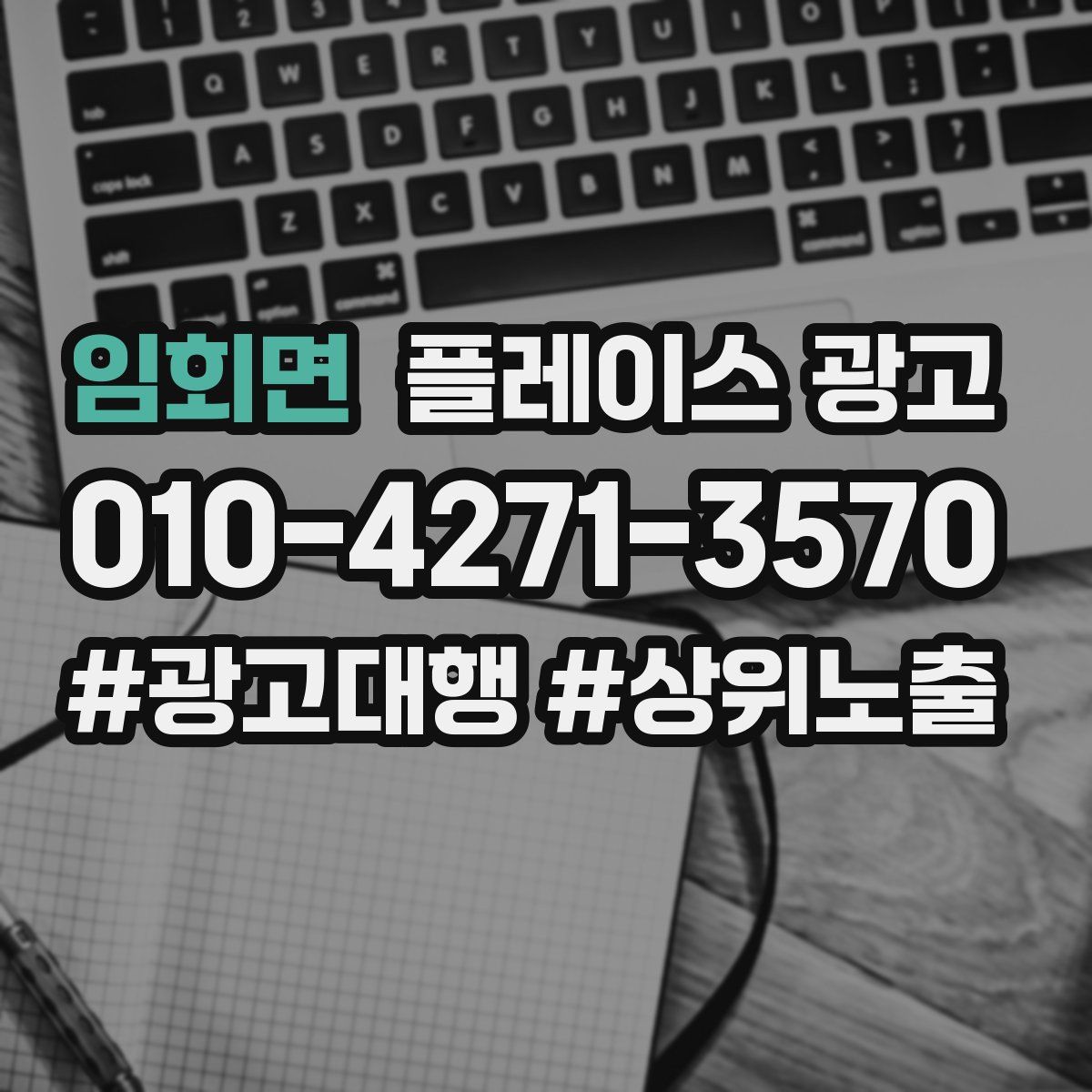 임회면 플레이스 광고