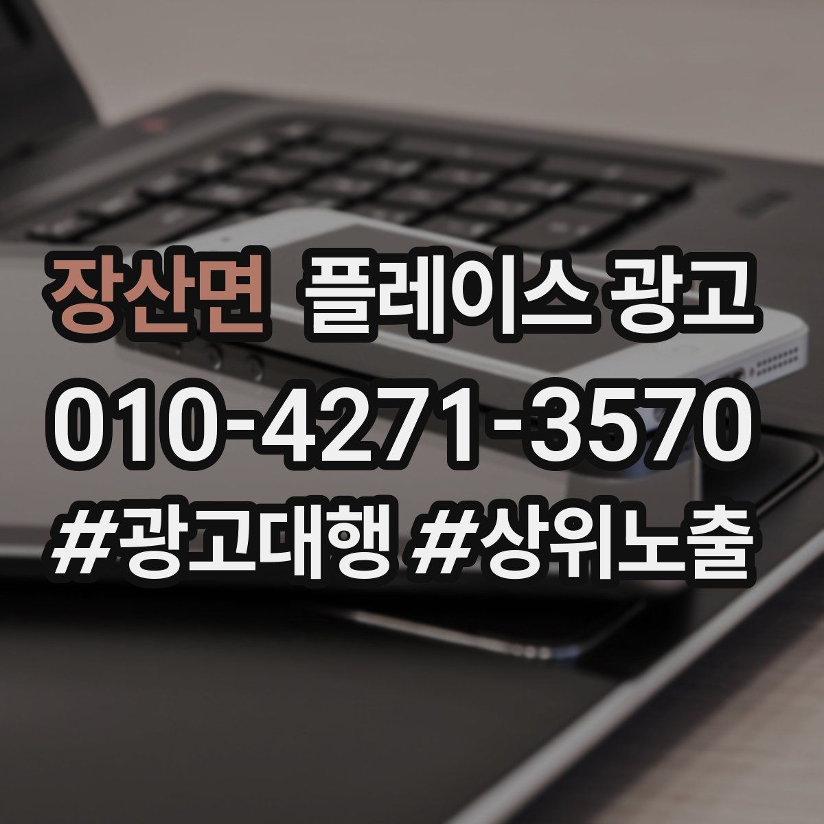 장산면 플레이스 광고