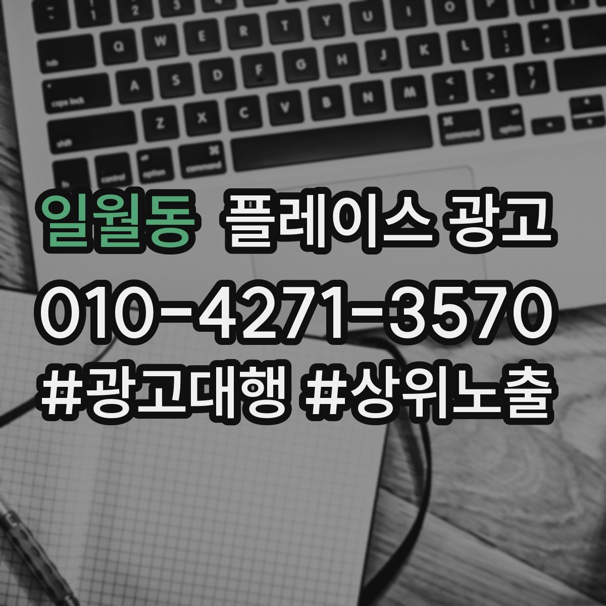 일월동 플레이스 광고