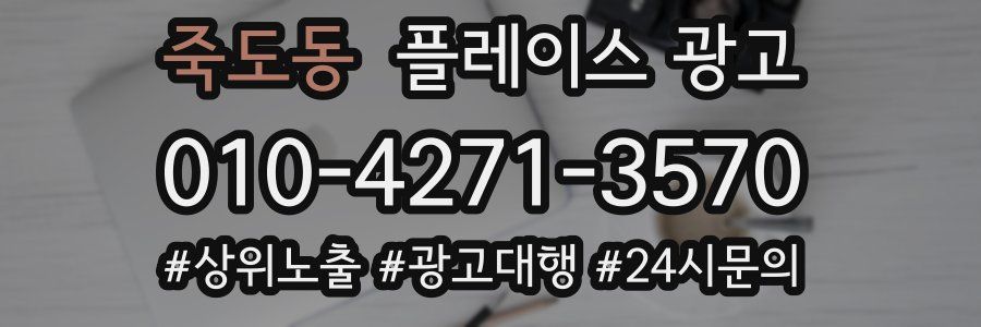 죽도동 플레이스 광고