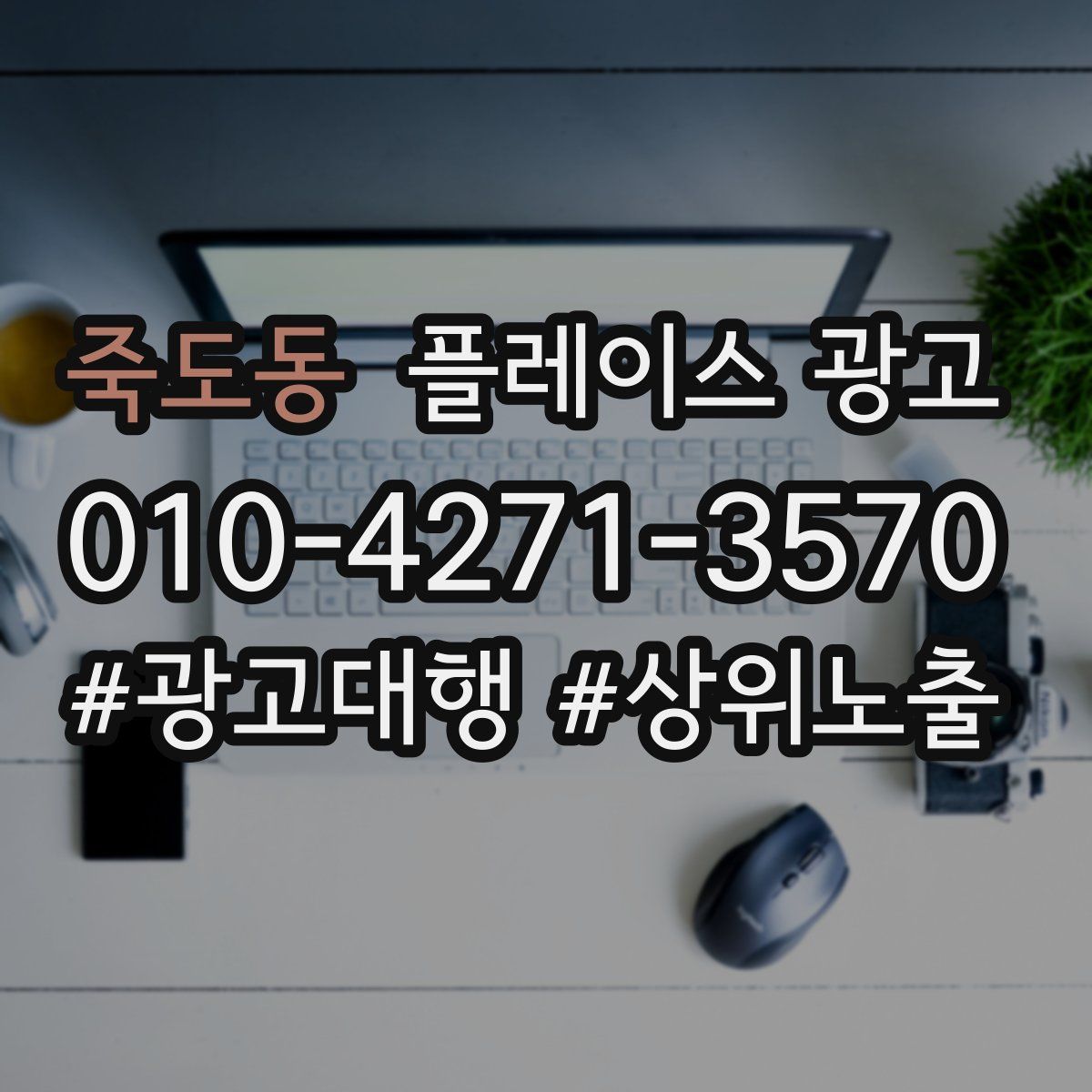 죽도동 플레이스 광고