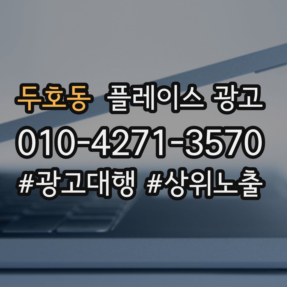 두호동 플레이스 광고