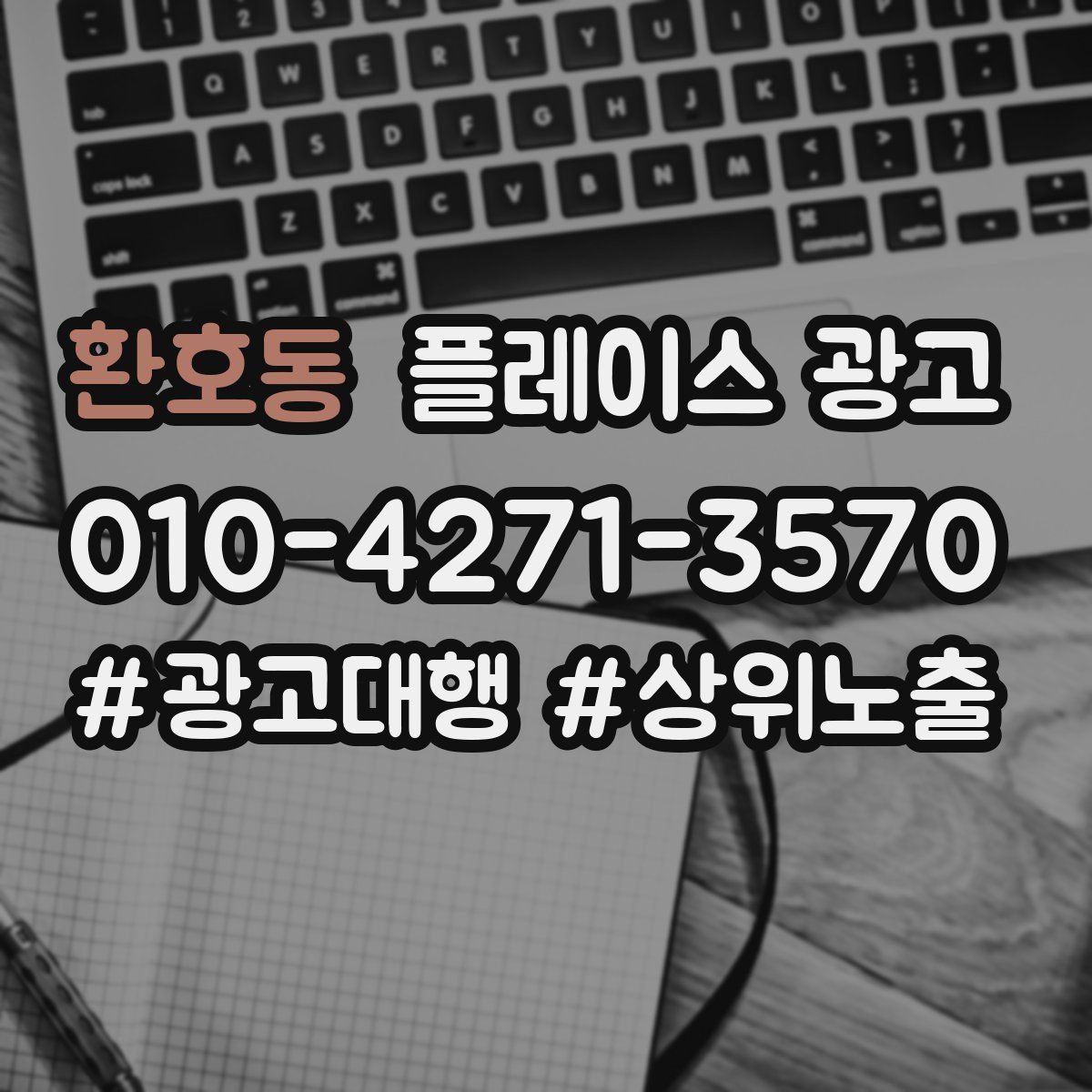 환호동 플레이스 광고
