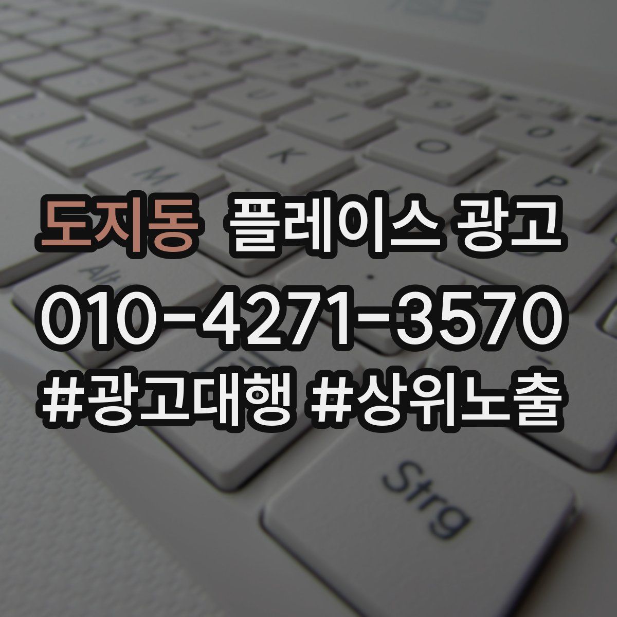 도지동 플레이스 광고