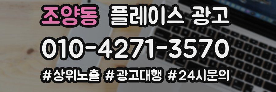 조양동 플레이스 광고