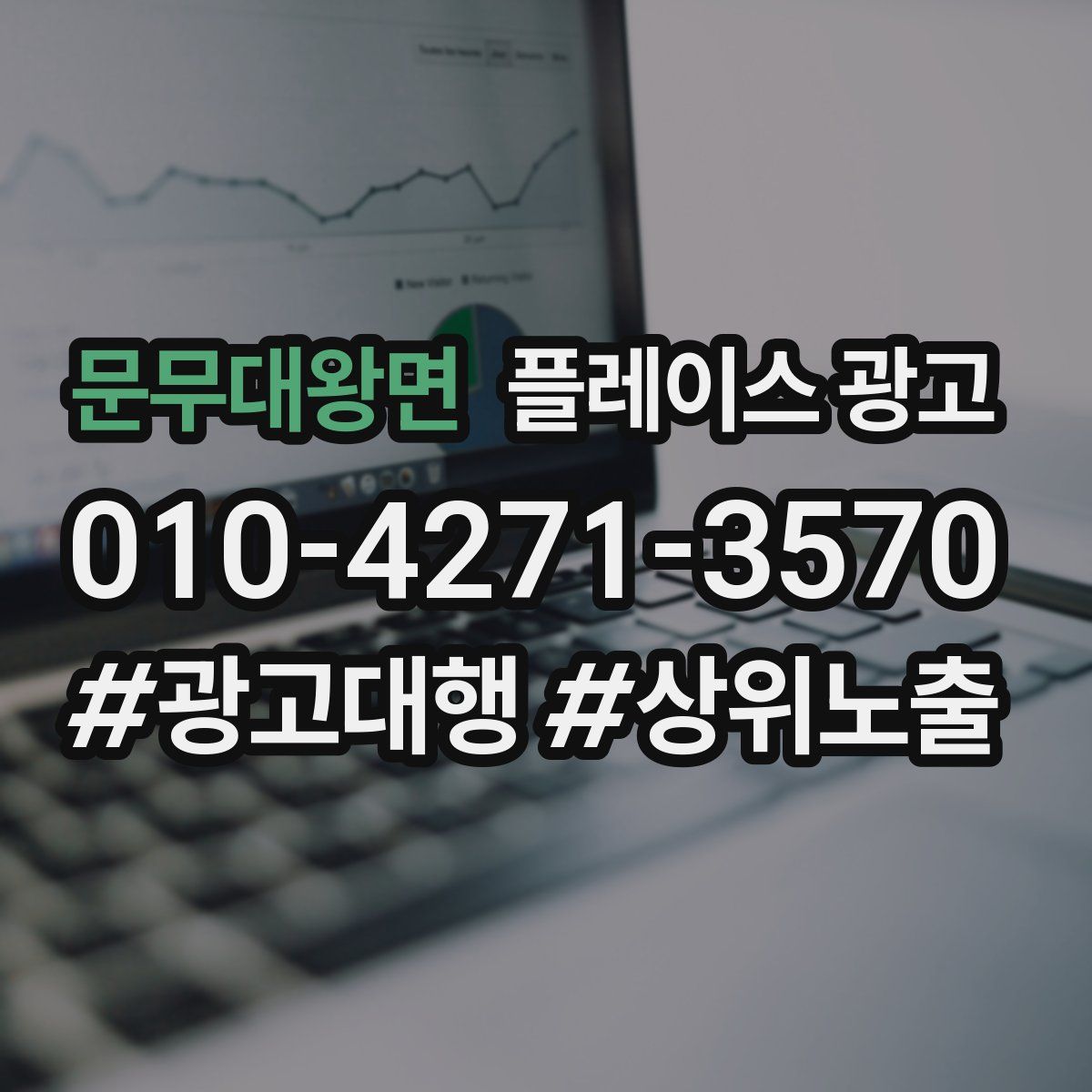 문무대왕면 플레이스 광고