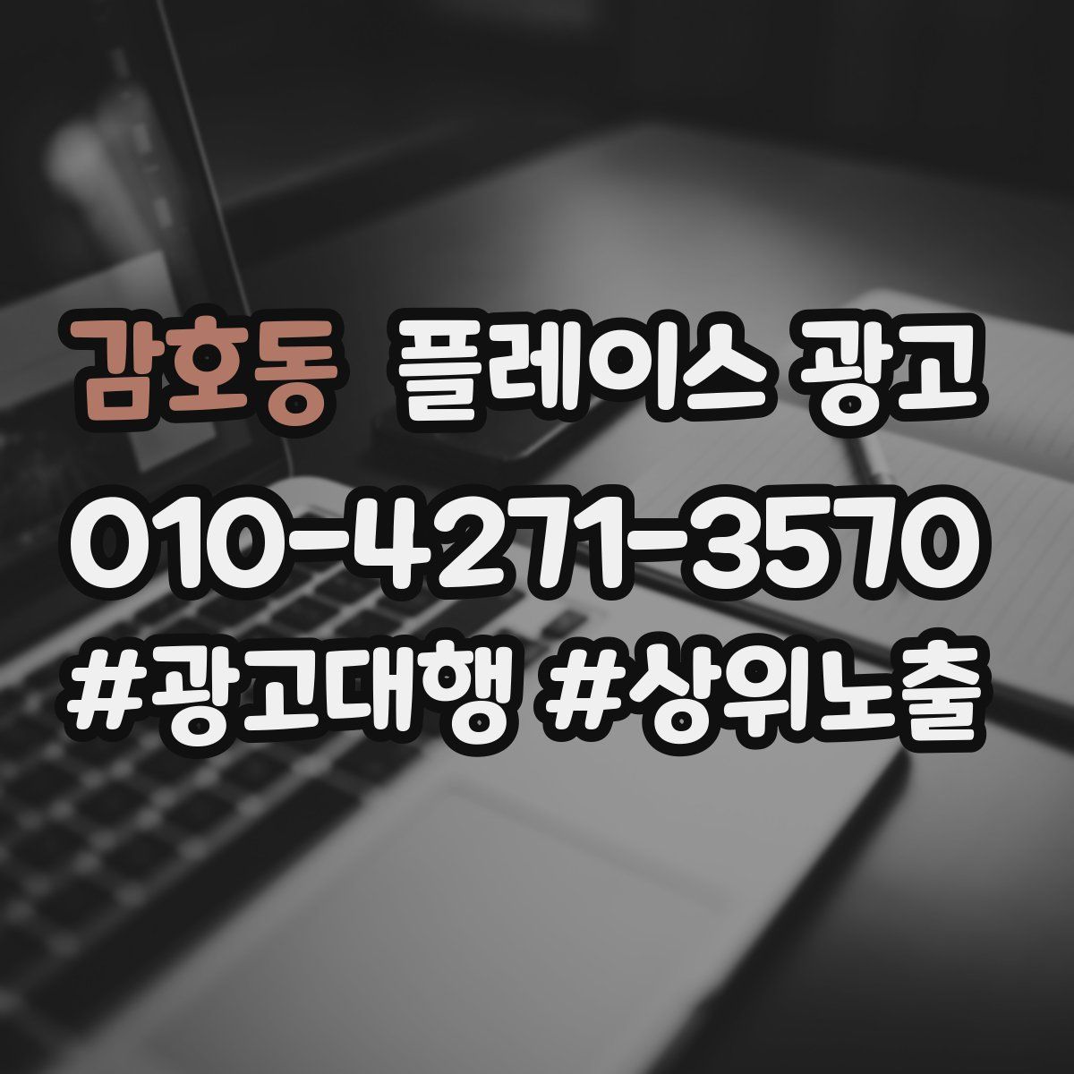 감호동 플레이스 광고