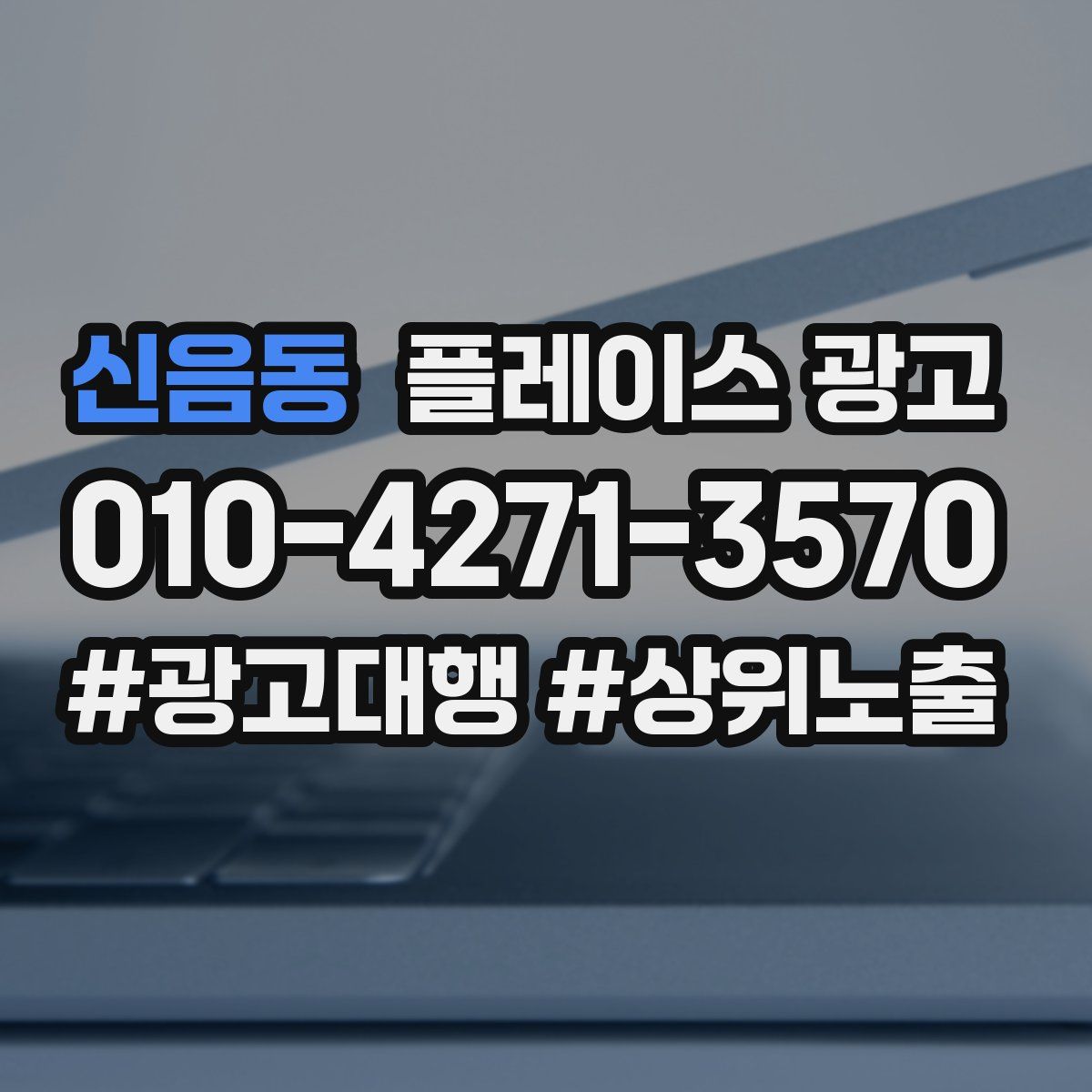 신음동 플레이스 광고