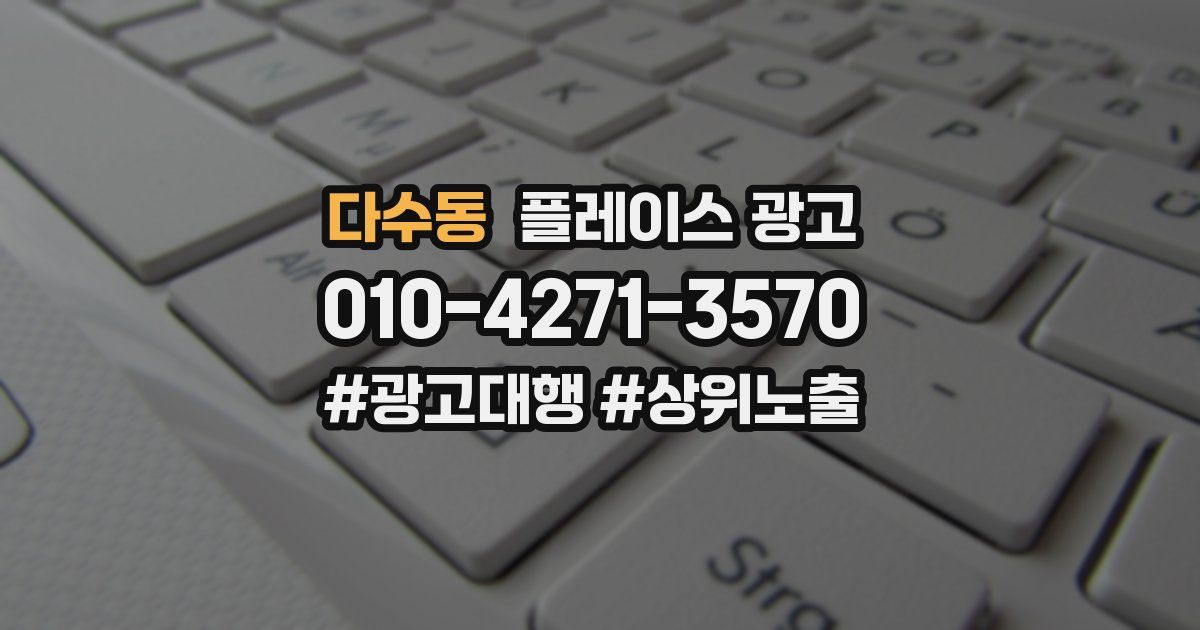 다수동 플레이스 광고