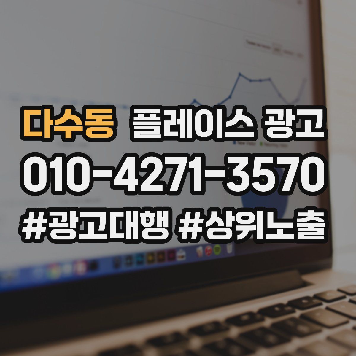 다수동 플레이스 광고