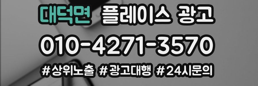 대덕면 플레이스 광고