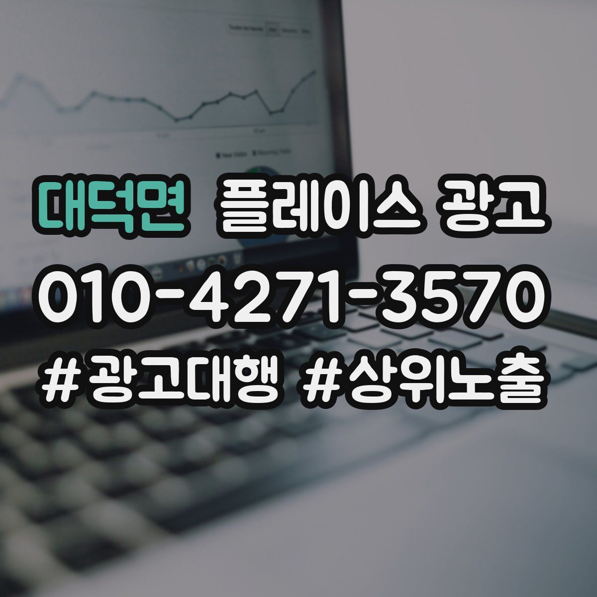 대덕면 플레이스 광고