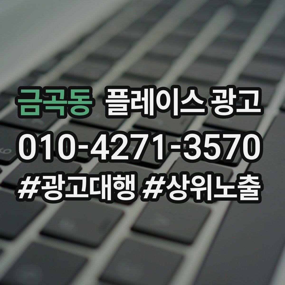금곡동 플레이스 광고