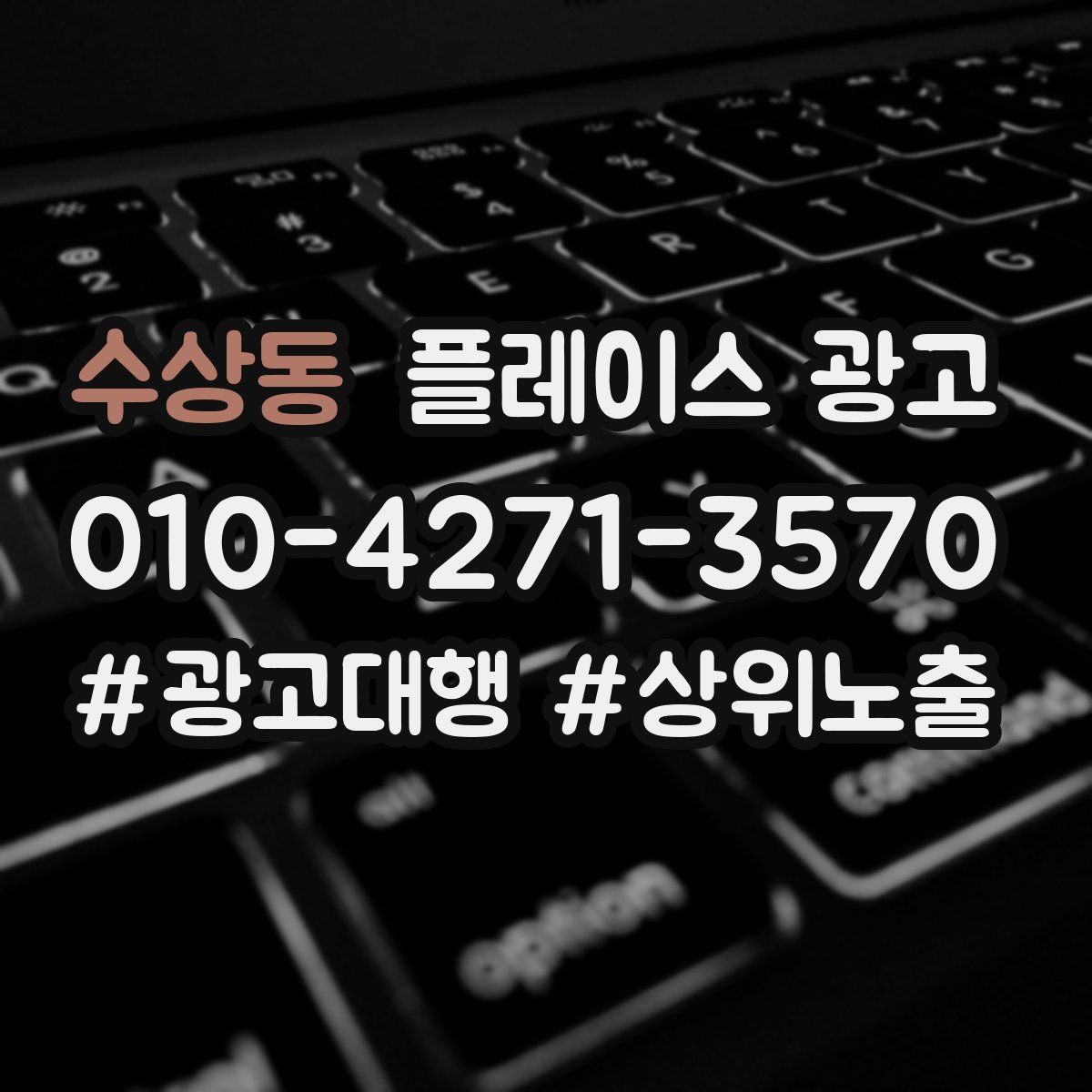 수상동 플레이스 광고