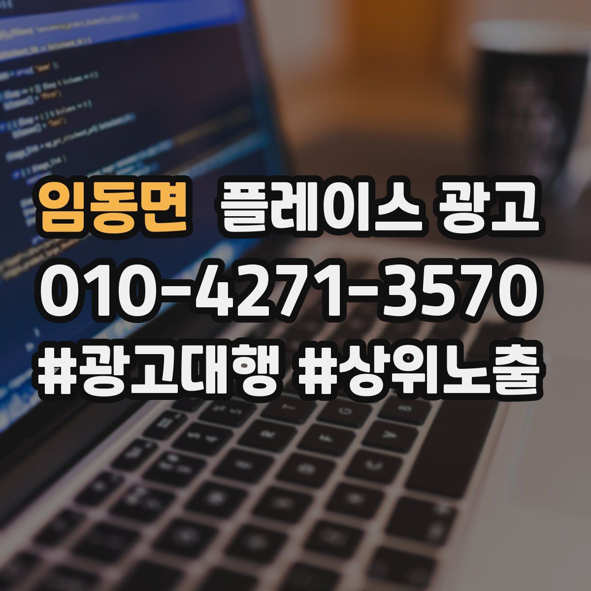 임동면 플레이스 광고