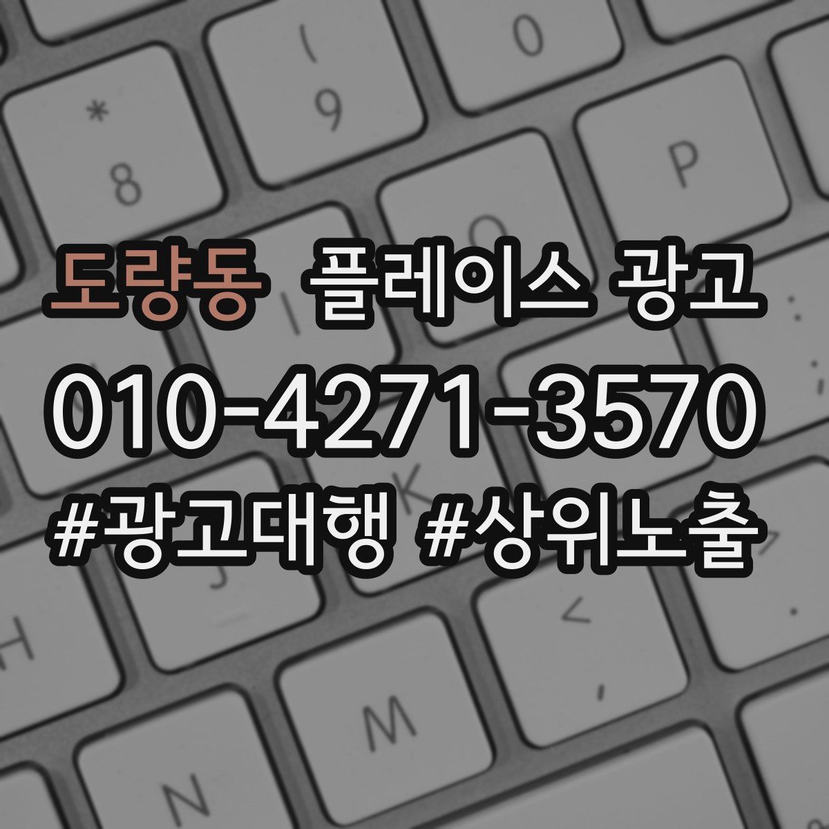 도량동 플레이스 광고