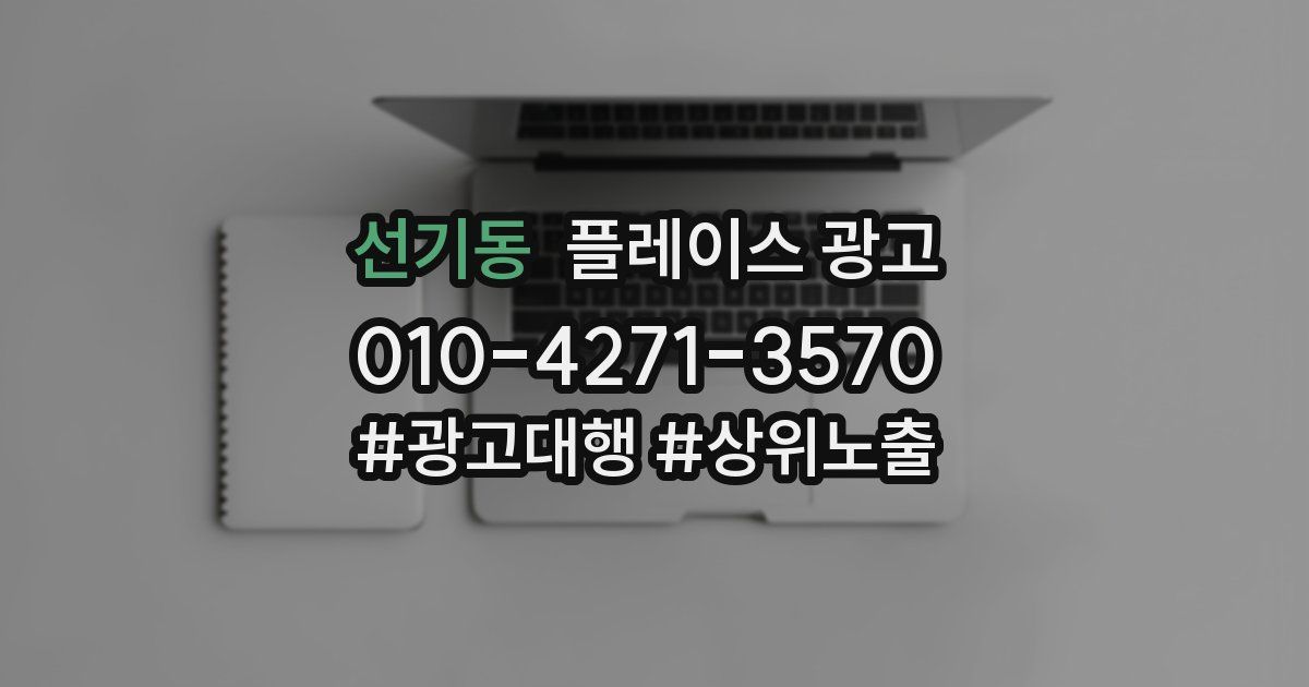 선기동 플레이스 광고