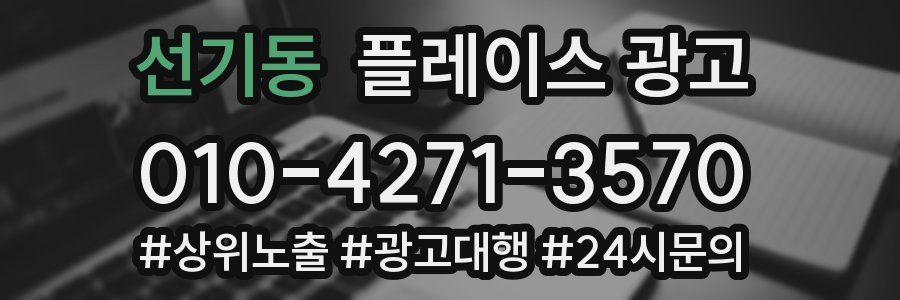 선기동 플레이스 광고
