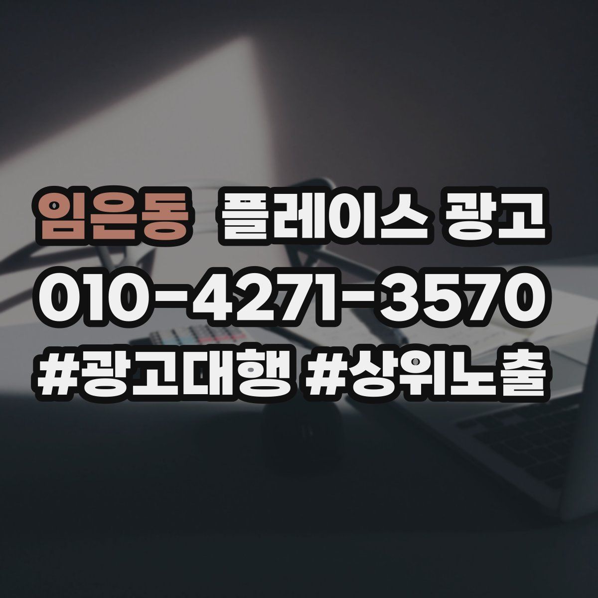 임은동 플레이스 광고