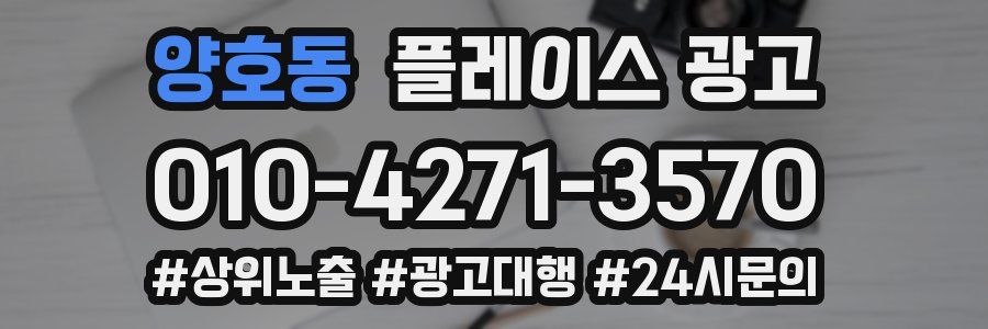 양호동 플레이스 광고