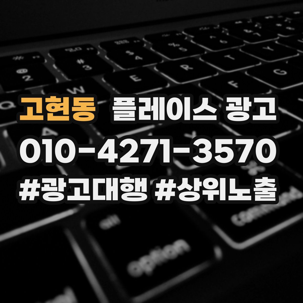 고현동 플레이스 광고