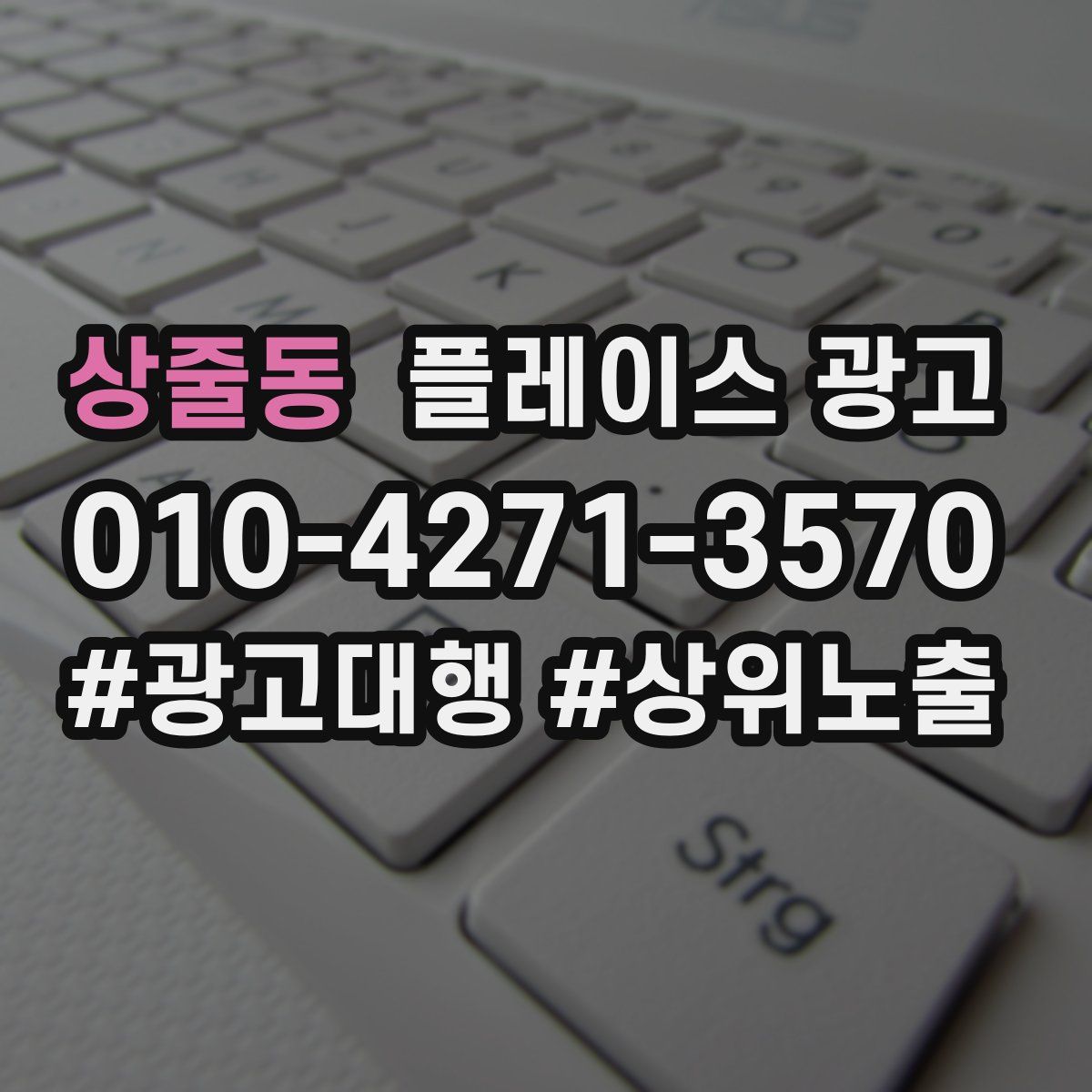 상줄동 플레이스 광고