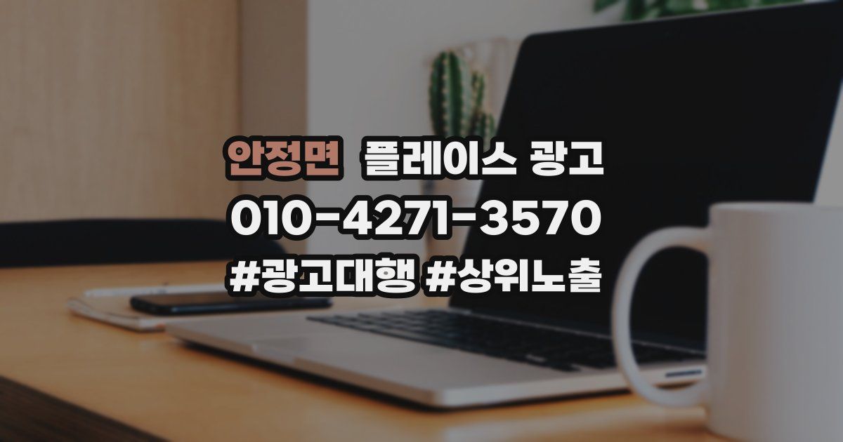 안정면 플레이스 광고