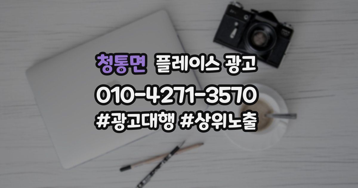 청통면 플레이스 광고