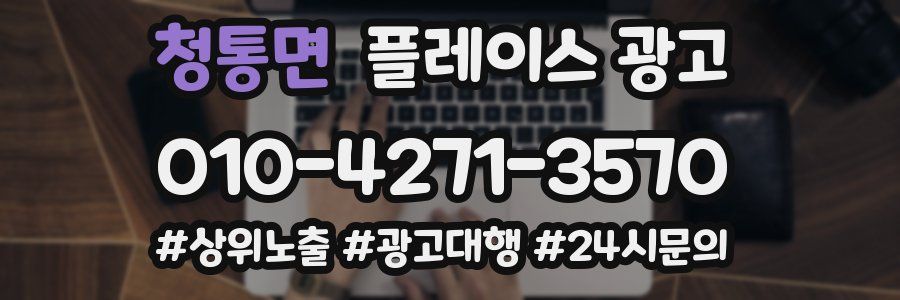 청통면 플레이스 광고
