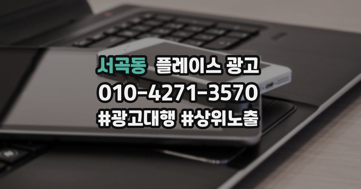 서곡동 플레이스 광고