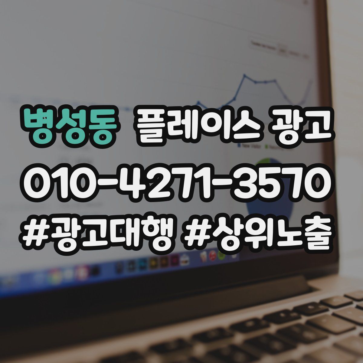 병성동 플레이스 광고