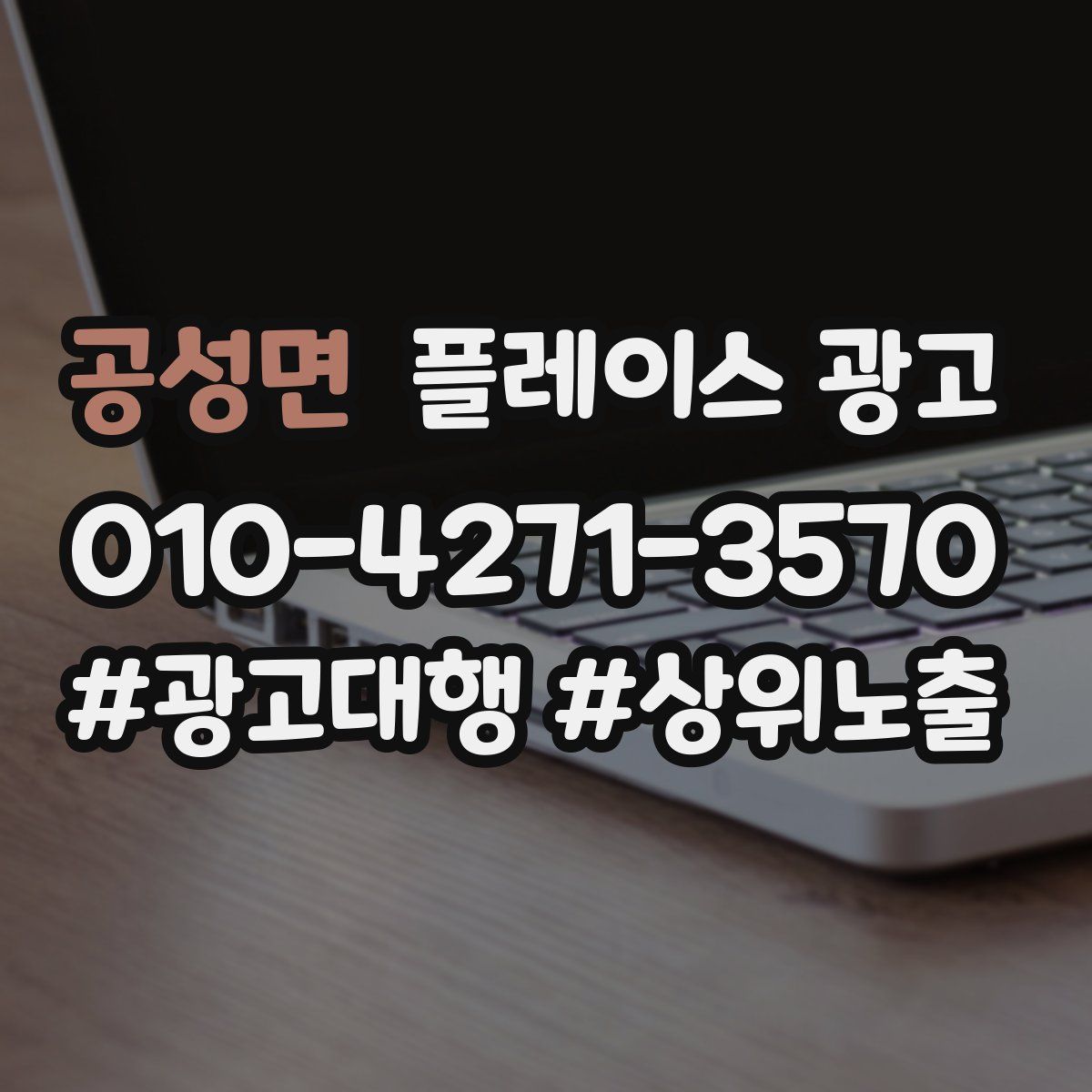 공성면 플레이스 광고